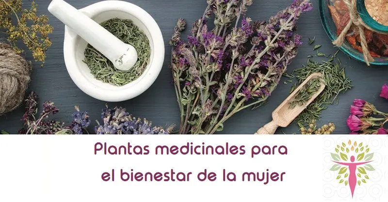 plantas para la salud de la mujer